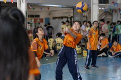 IMG_6271