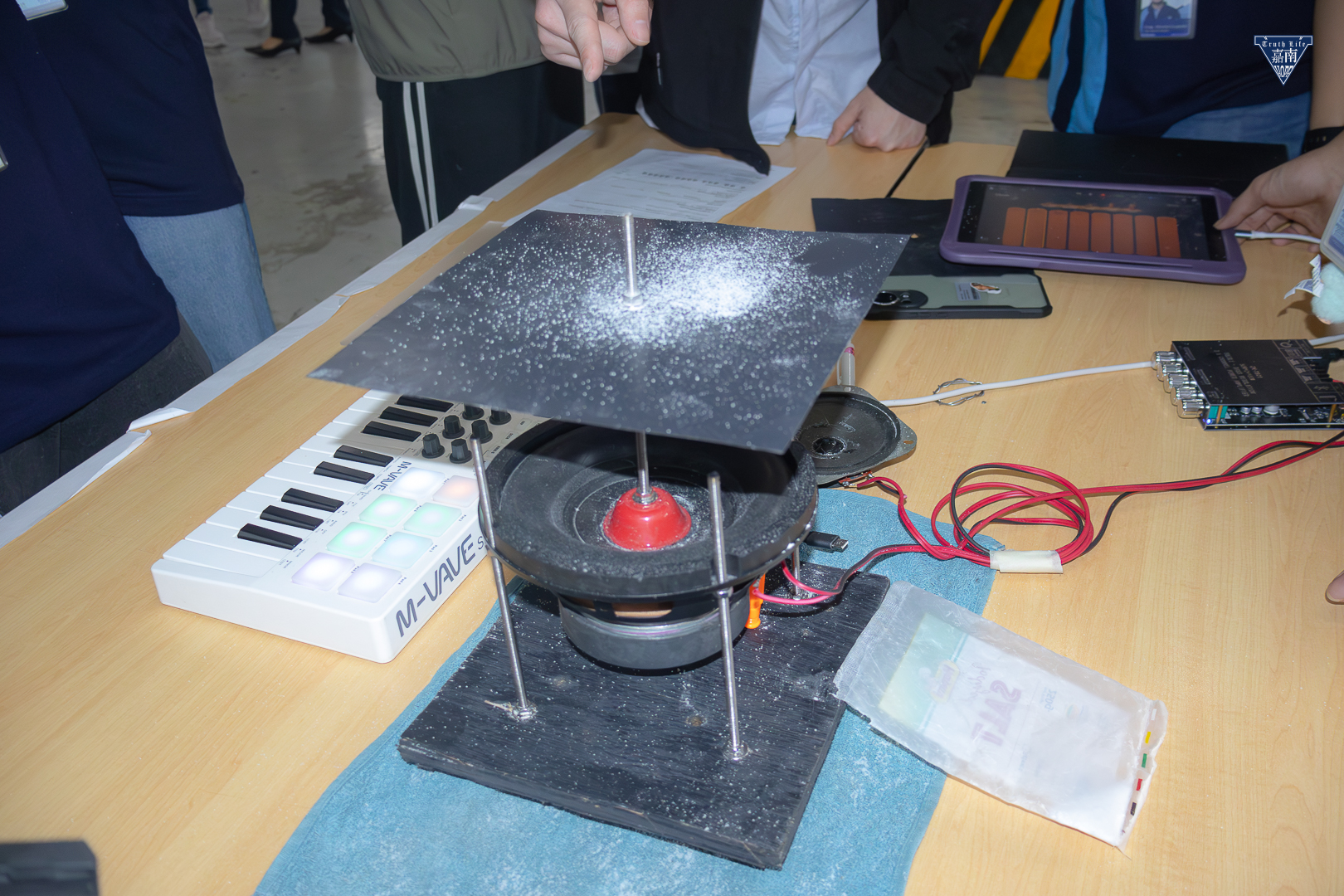 Chladni Plate Exhibit (5)