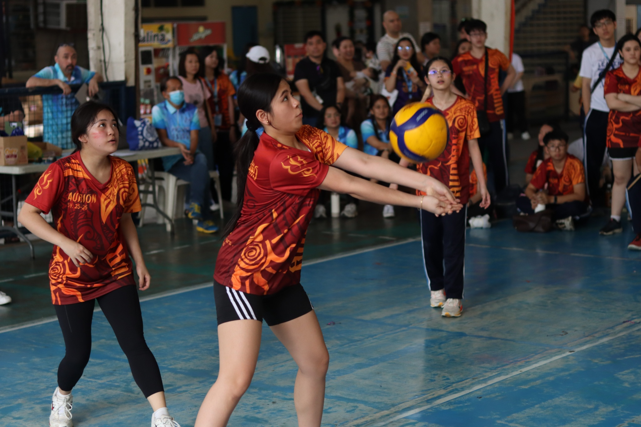 women's volleyball (10)