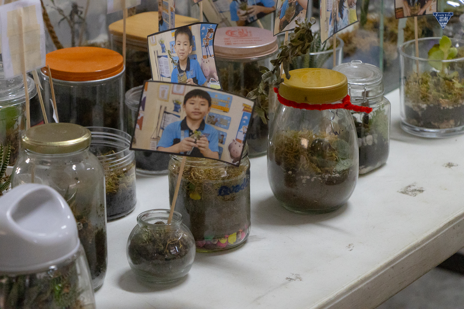 growing life inside terrarium (1)