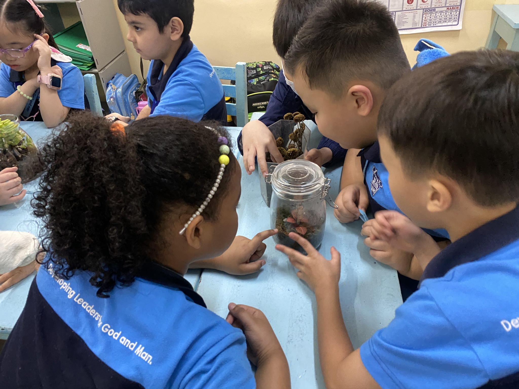 growing life inside terrarium (2)