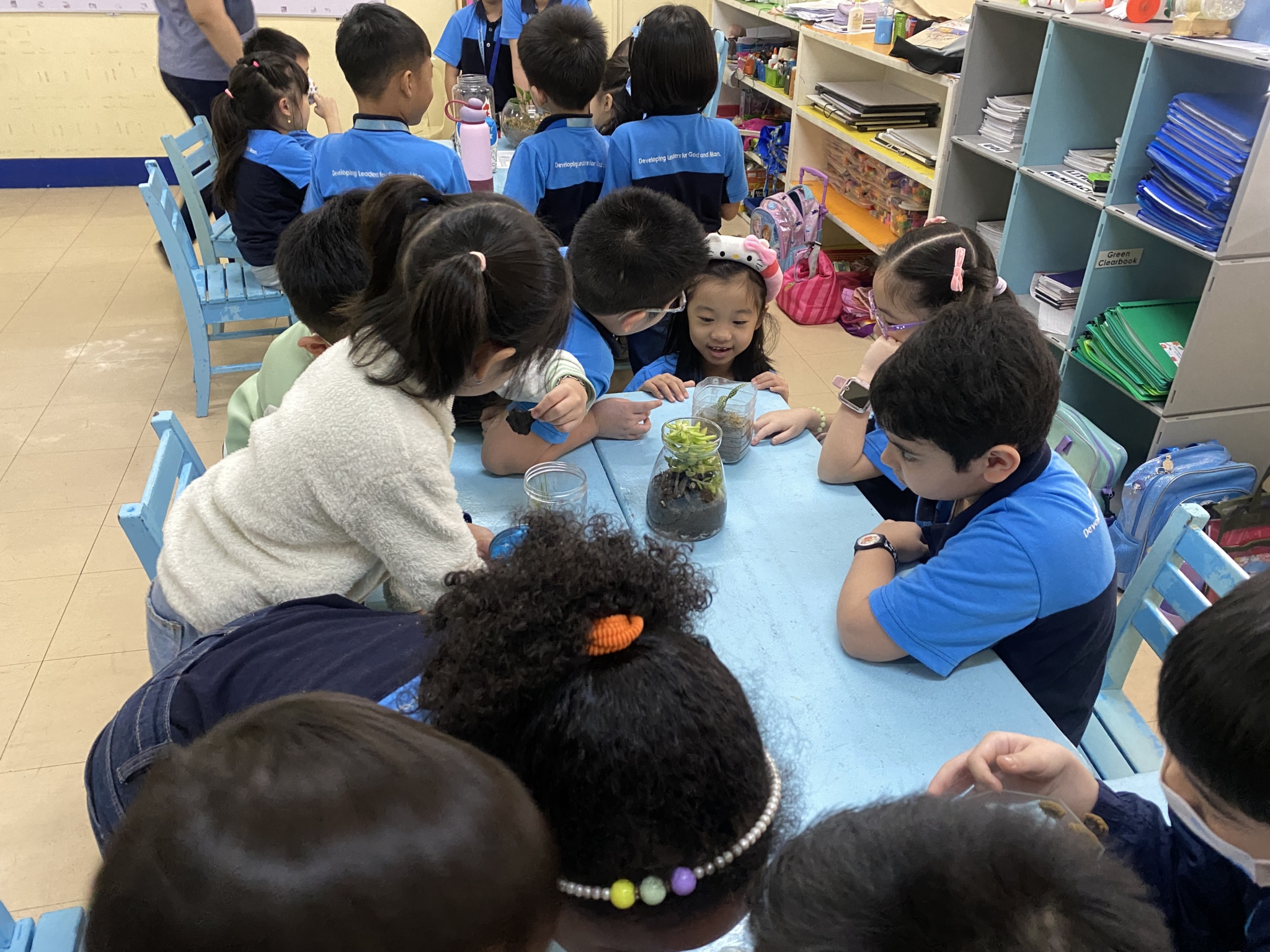 growing life inside terrarium (3)